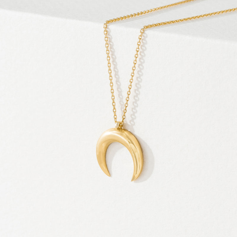 Solid Gold Horn pendant Necklace