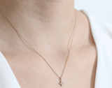 Mini Diamond North Star Necklace